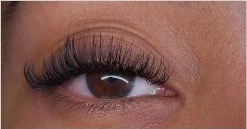 Hybrid lashes combining classic definition and volume